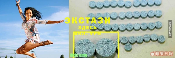 таблы Снежногорск