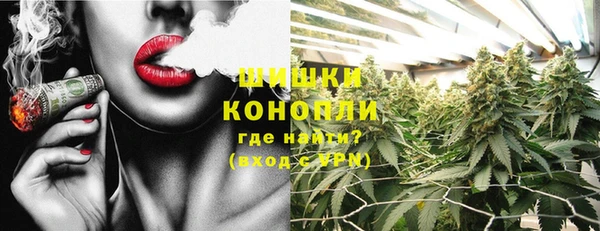 мдпв Снежинск