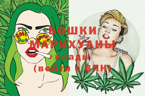 мдпв Снежинск