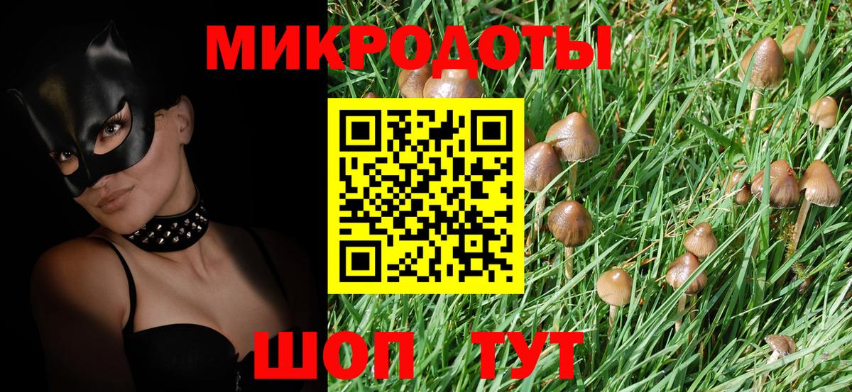 Галлюциногенные грибы Psilocybine cubensis  Вход с VPN  Среднеуральск 