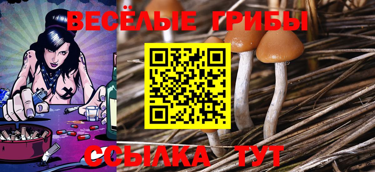 Галлюциногенные грибы прущие грибы Среднеуральск